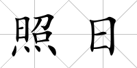 照日