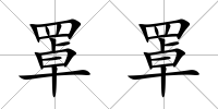 罩罩