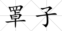 罩子