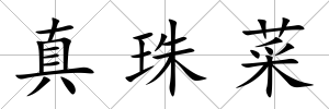 真珠菜
