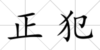正犯