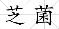 芝菌