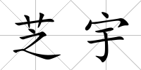 芝宇