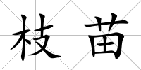 枝苗