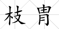 枝胄