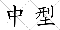 中型