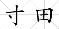 寸田
