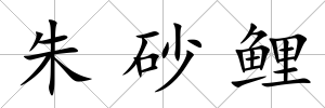 朱砂鯉
