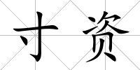 寸資