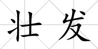 壯發(fā)