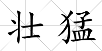 壯猛