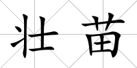 壯苗