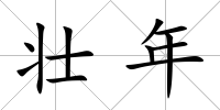 壯年