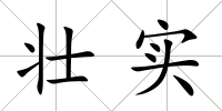 壯實