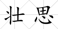 壯思
