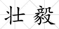 壯毅