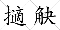 擿觖