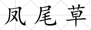 鳳尾草