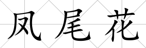 鳳尾花