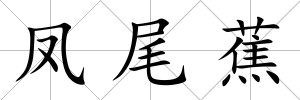 鳳尾蕉