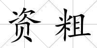 資粗