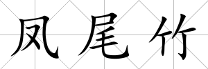 鳳尾竹
