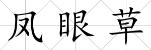 鳳眼草