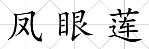 鳳眼蓮