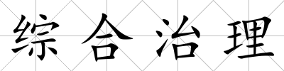 綜合治理