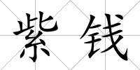 紫錢