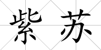 紫蘇