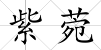紫菀