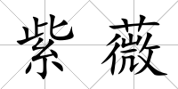 紫薇