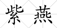 紫燕