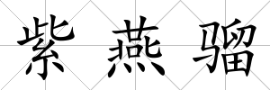 紫燕騮