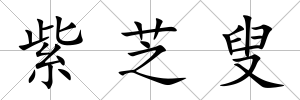 紫芝叟