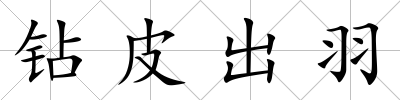 鉆皮出羽