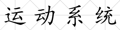 運動系統