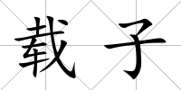載子