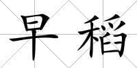 早稻