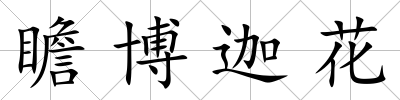 瞻博迦花