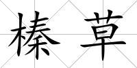 榛草