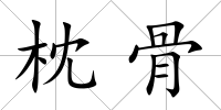 枕骨