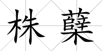 株蘗
