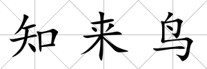 知來鳥
