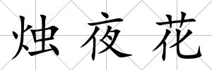 燭夜花