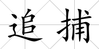 追捕