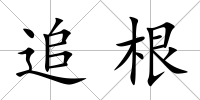 追根