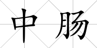 中腸