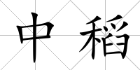 中稻
